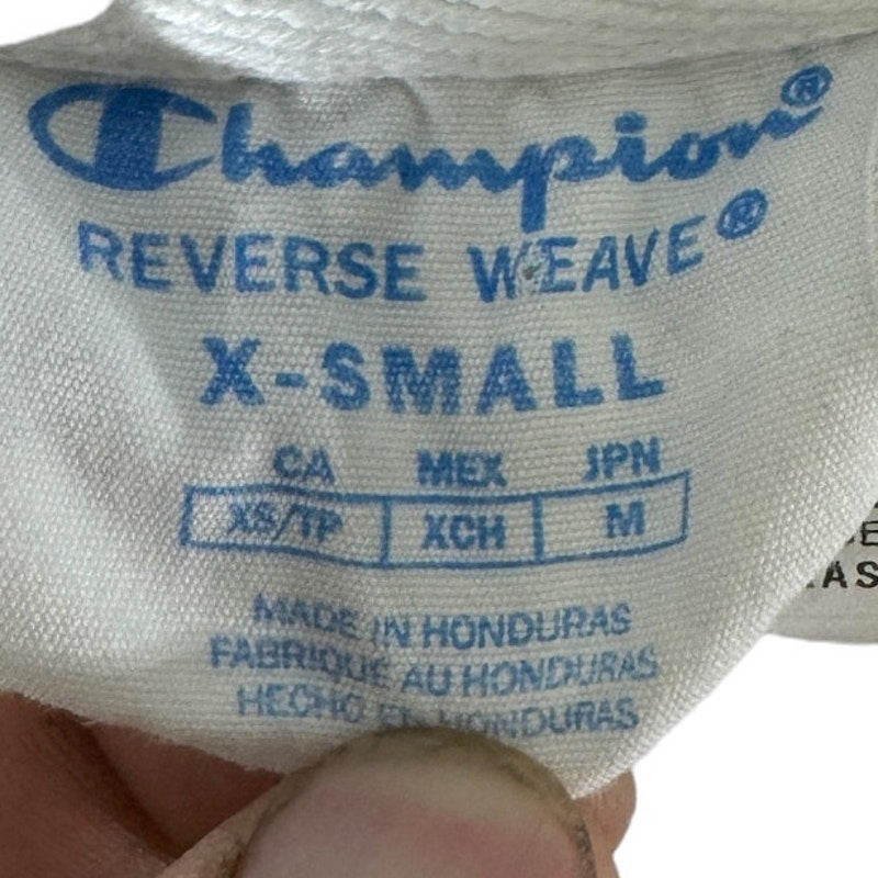 Collection of Champion Pullover Hoodie in a gallery layout