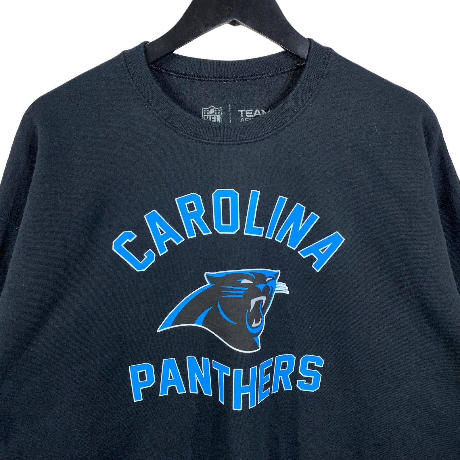 Collection of NFL Team Apparel Carolina Panthers Embroidered Hoodie in a gallery layout