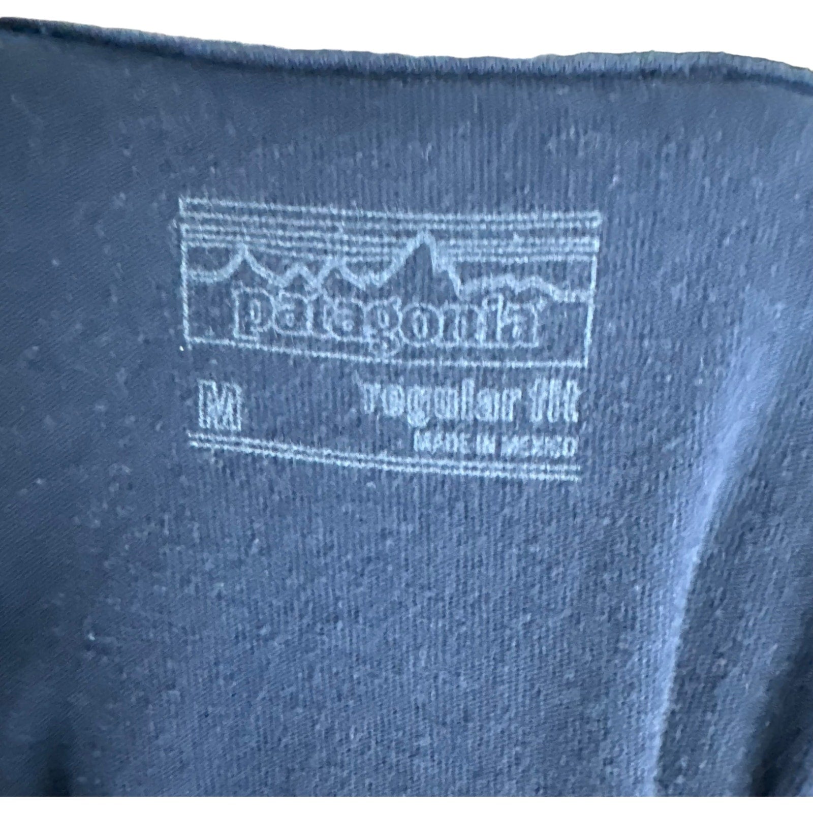 Collection of Patagonia Spell Out Tee in a gallery layout