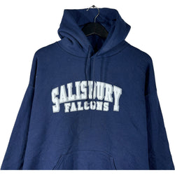 Collection of Russel Athletic Salsbury Falcons Hoodie in a gallery layout