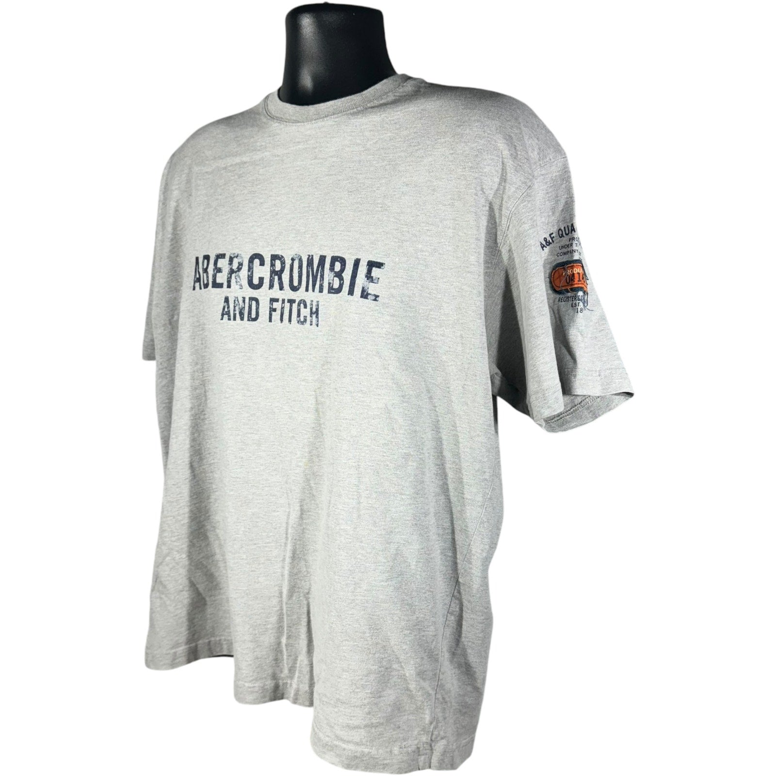 Collection of Abercrombie & Fitch Logo Tee in a gallery layout