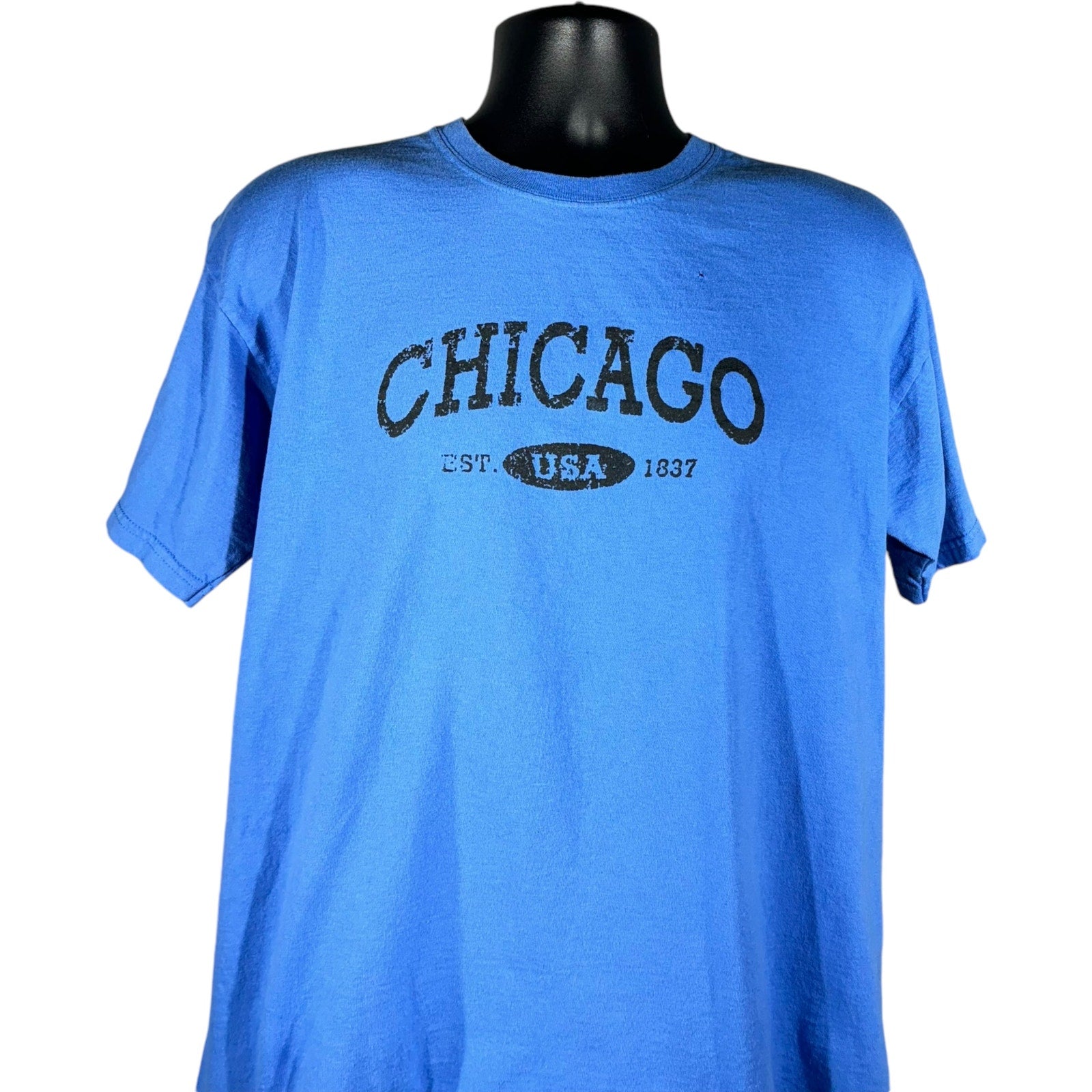 Collection of City of Chicago USA Tee in a gallery layout