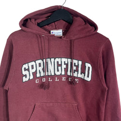 Collection of Springfield College Champion Hoodie in a gallery layout