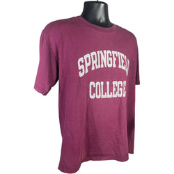 Collection of Champion Springfield College Tee in a gallery layout