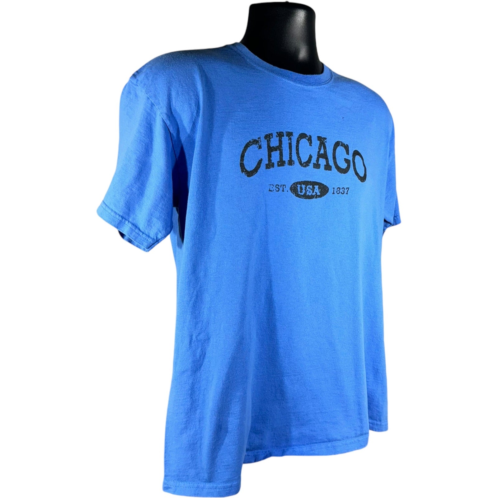 Collection of City of Chicago USA Tee in a gallery layout