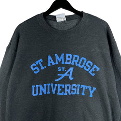 Collection of Champion St. Ambrose University Crewneck in a gallery layout