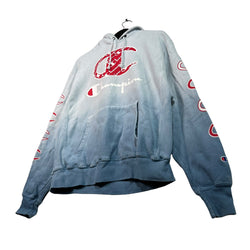 Collection of Champion Reverse Weave Logo Graphic Hoodie in a gallery layout