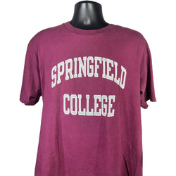 Collection of Champion Springfield College Tee in a gallery layout