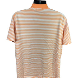 Collection of Polo Ralph Lauren Thin Striped Short Sleeve Polo in a gallery layout