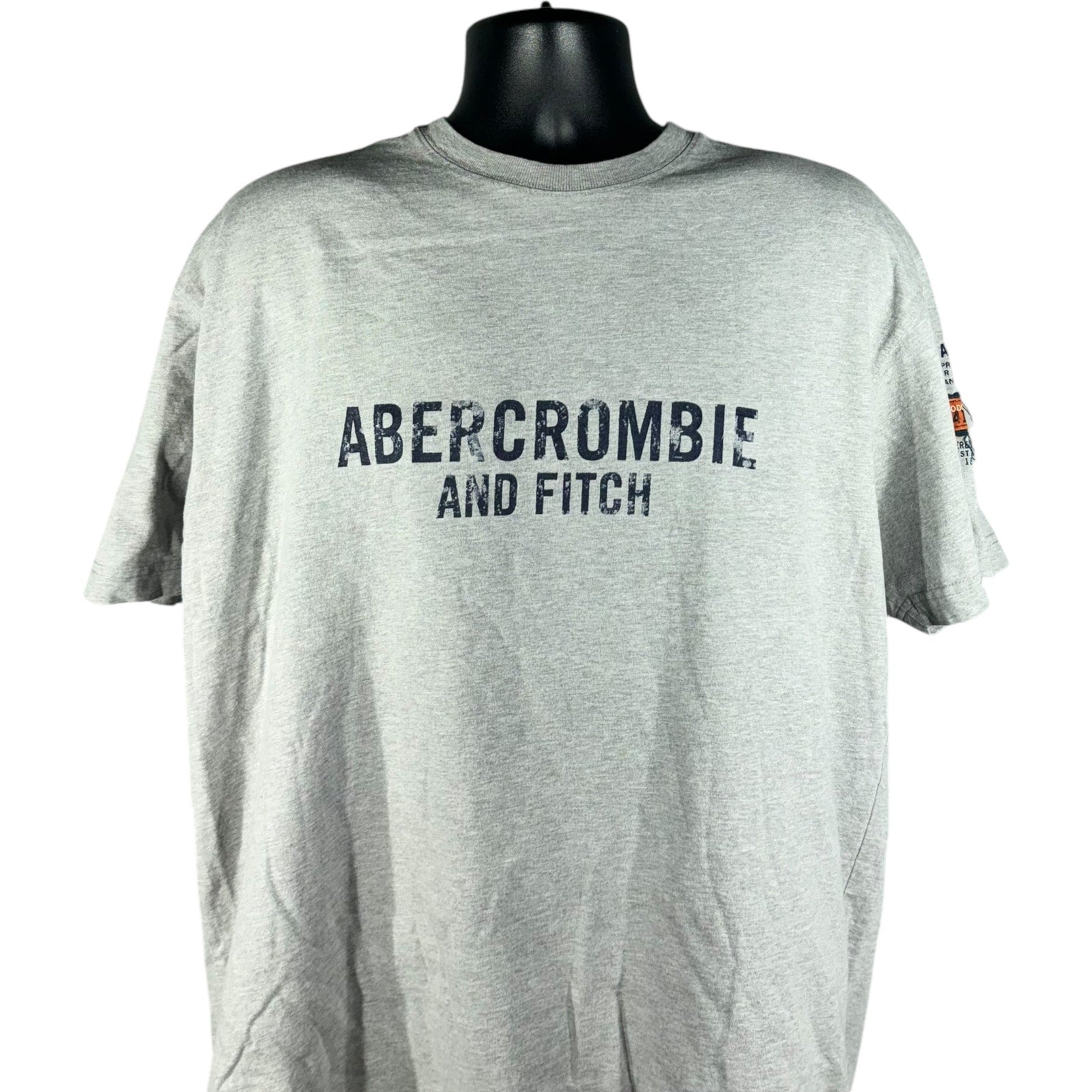 Collection of Abercrombie & Fitch Logo Tee in a gallery layout