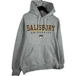 Collection of Jansport University Of Salisbury Hoodie in a gallery layout