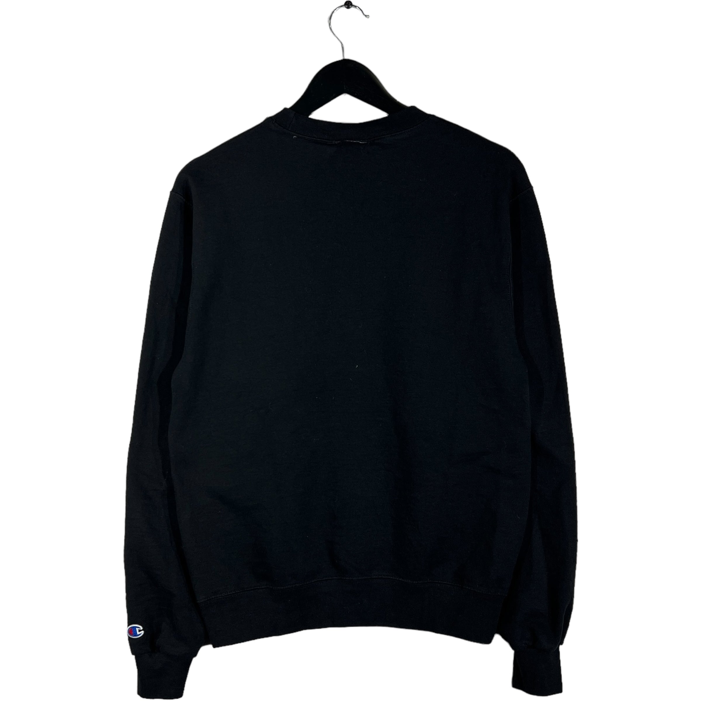 Collection of Champion University Of Minnesota Duluth Pullover in a gallery layout