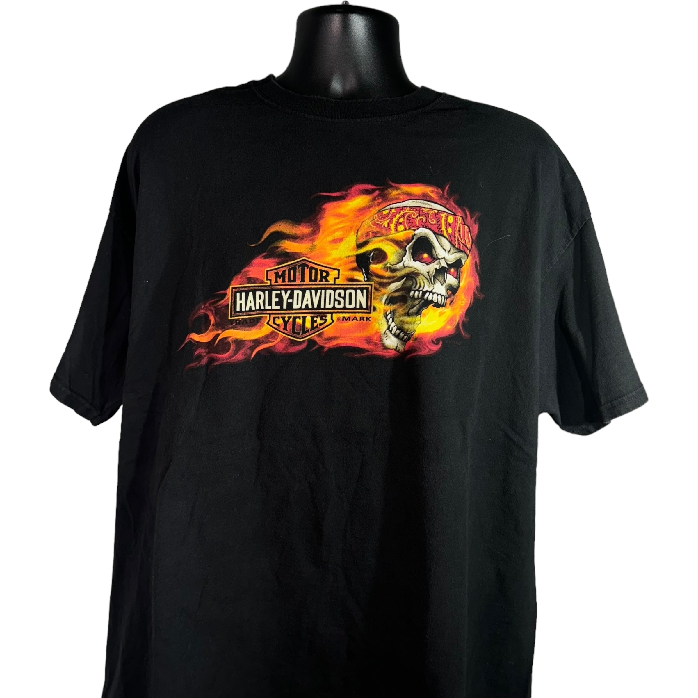 Collection of Harley Davidson Flaming Skull Tee in a gallery layout