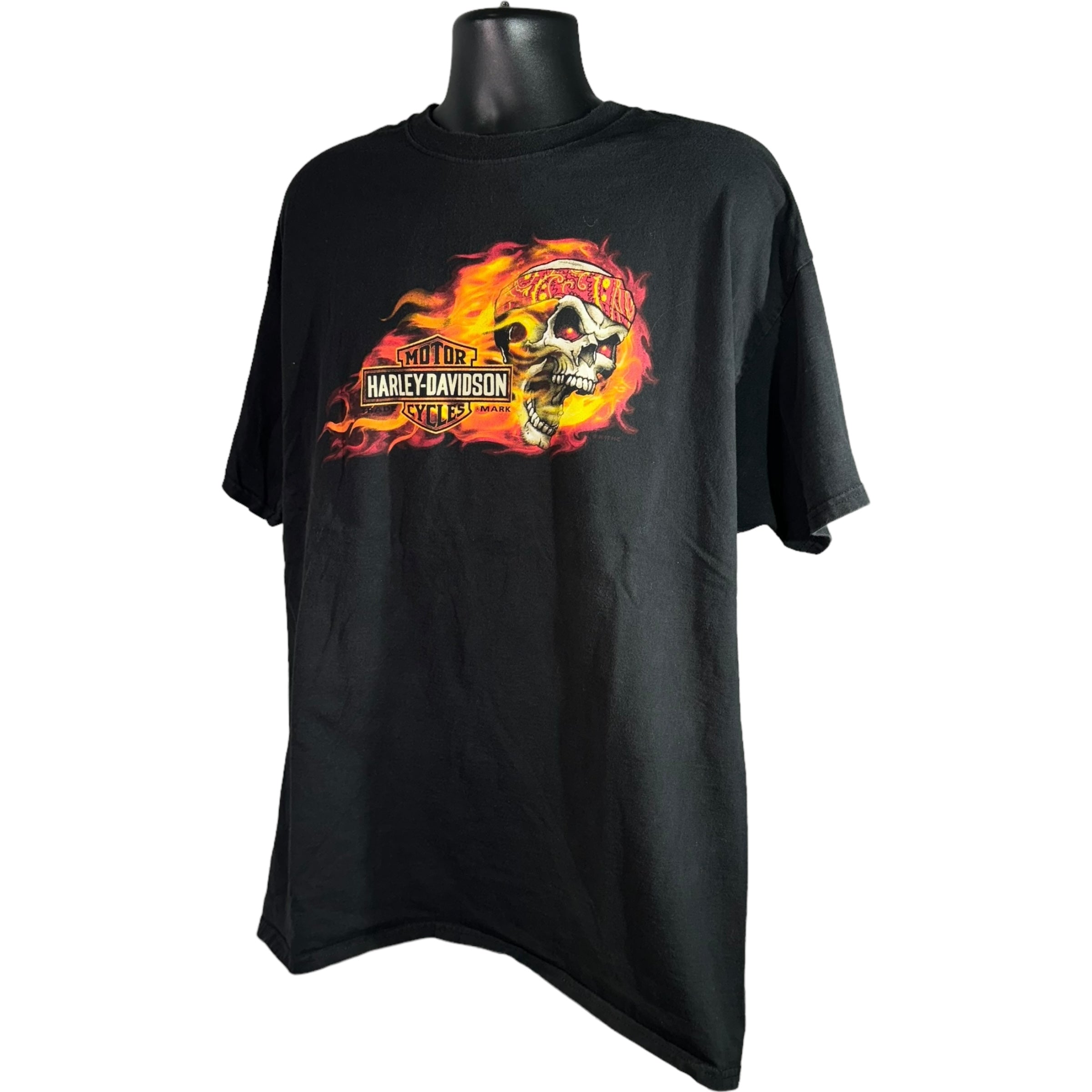 Collection of Harley Davidson Flaming Skull Tee in a gallery layout