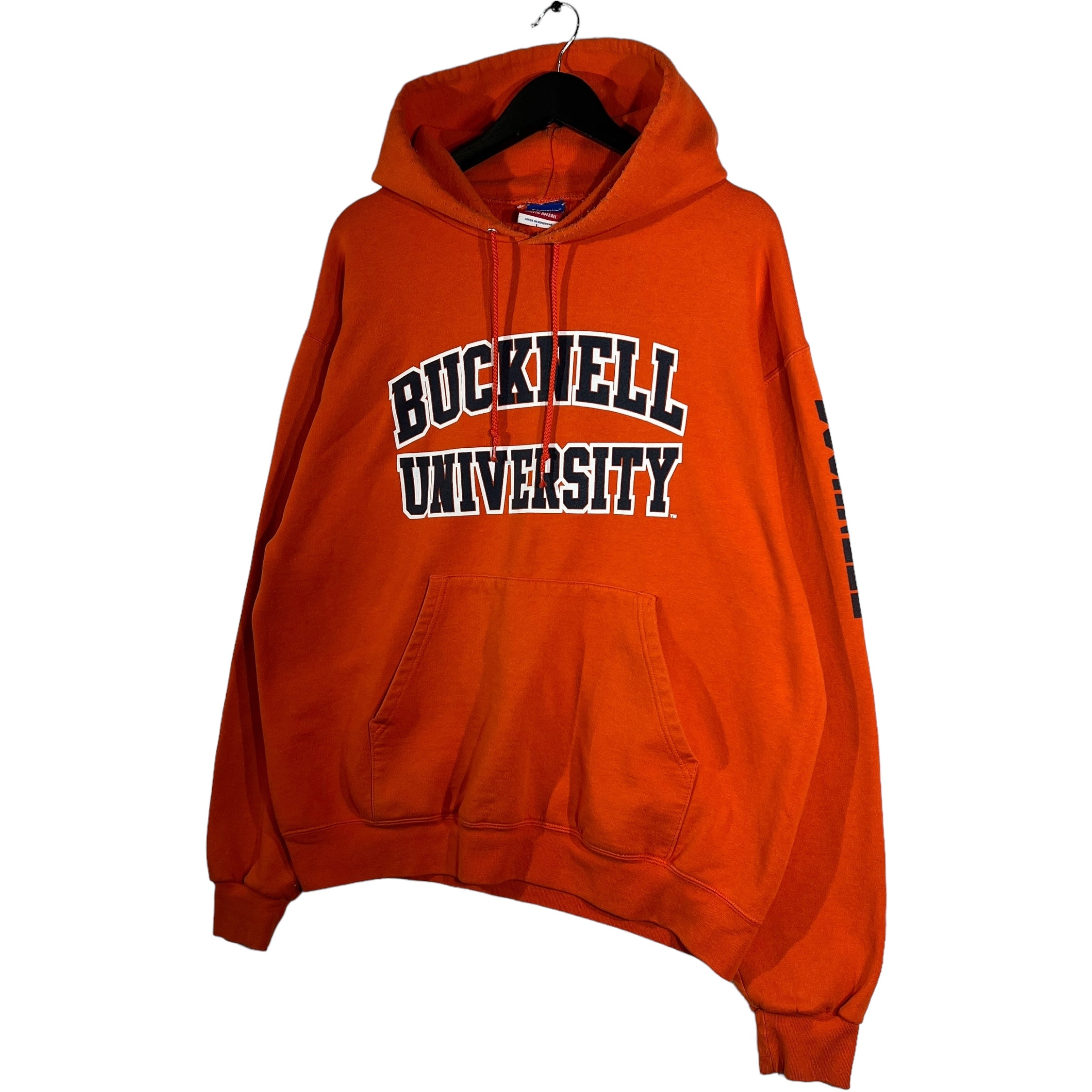 Collection of Champion Bucknell University Hoodie in a gallery layout