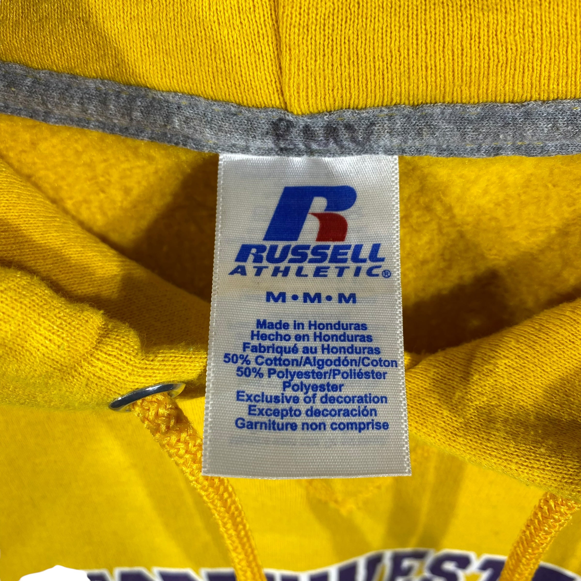 Collection of North Western Baseball Russell Athletic Hoodie in a gallery layout