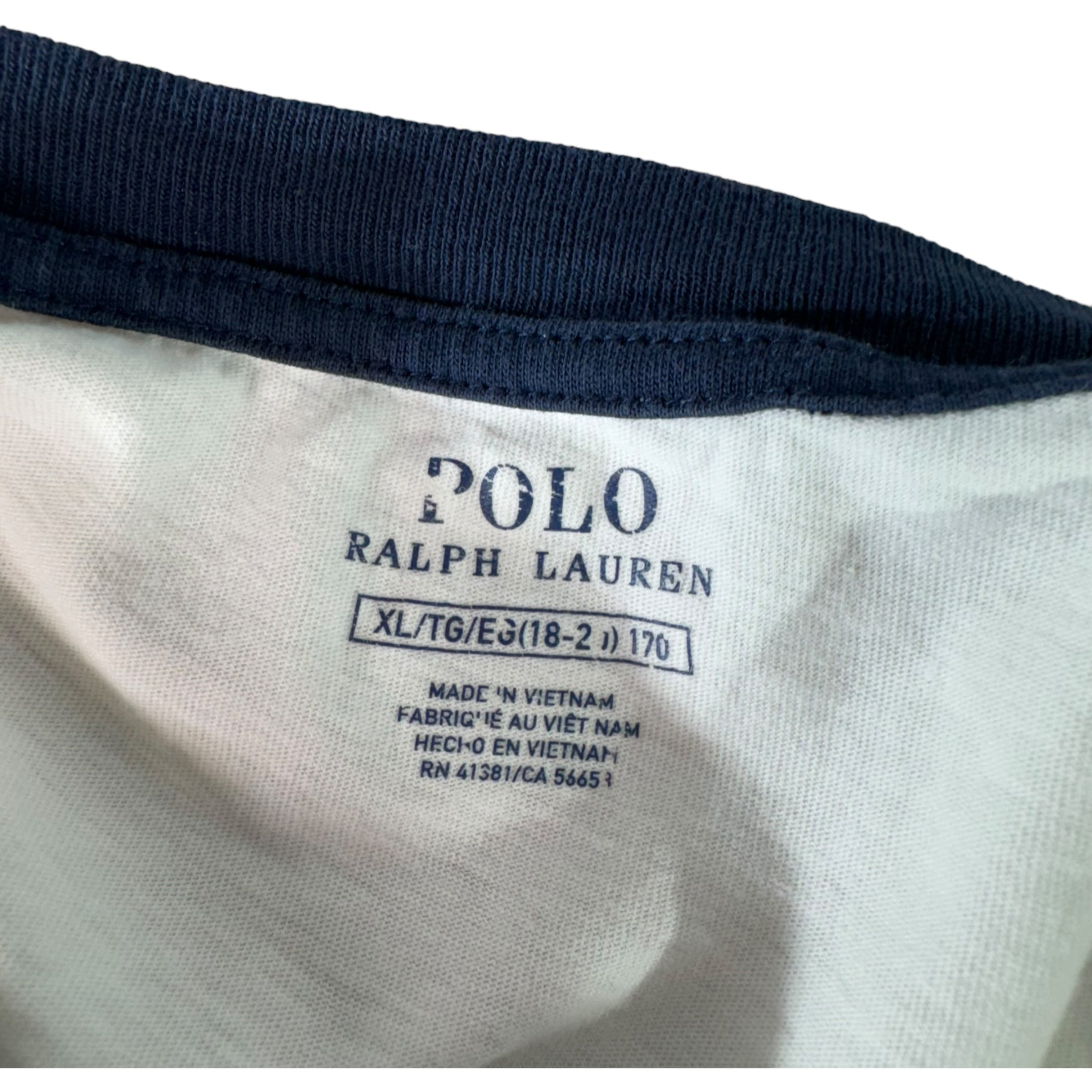 Collection of Polo Ralph Lauren Bear American Flag Tee in a gallery layout