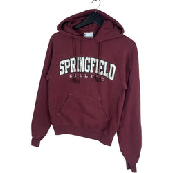 Collection of Springfield College Champion Hoodie in a gallery layout