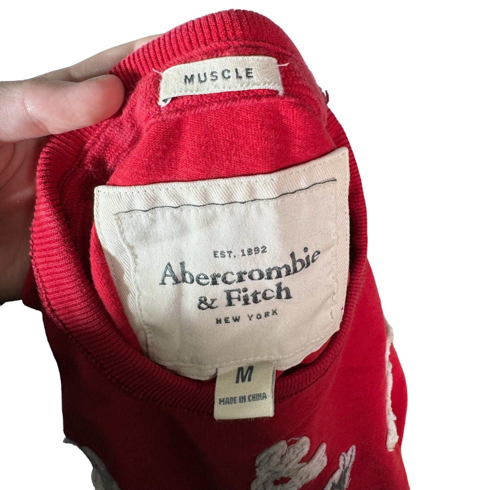 Collection of Abercrombie & Fitch 