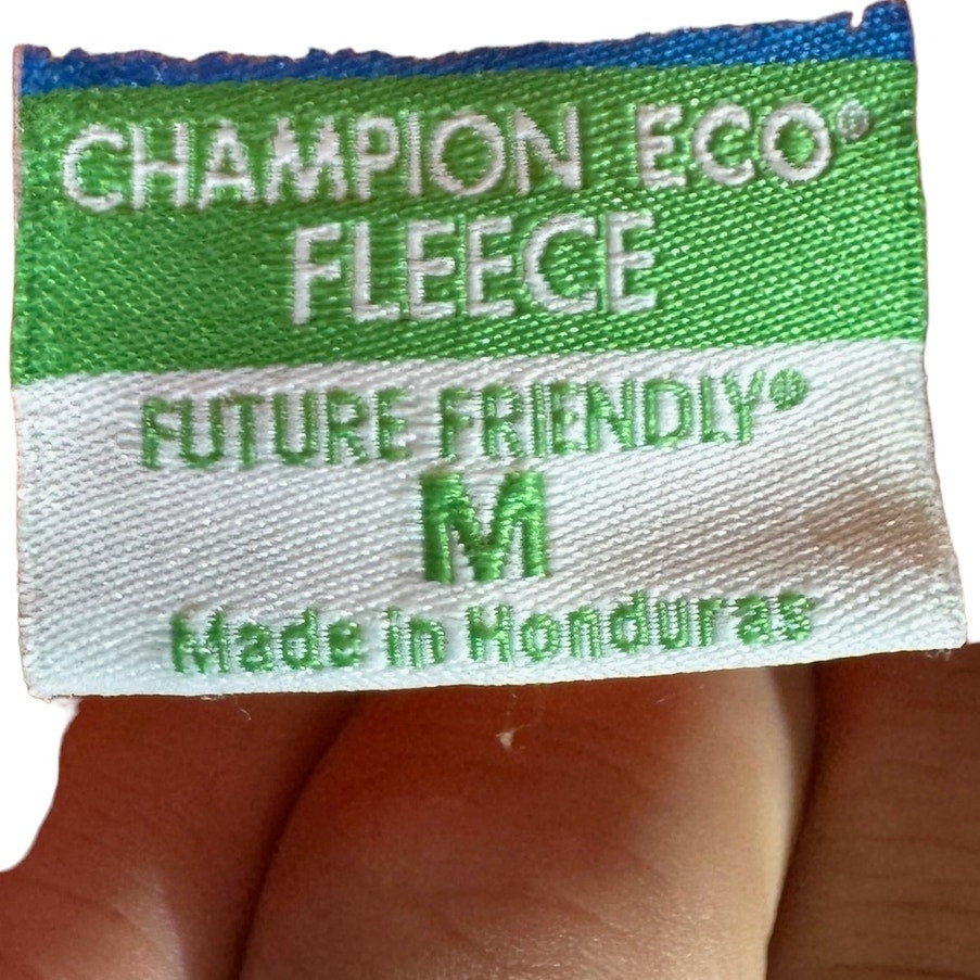 Collection of Susquehanna University Champion Pullover Hoodie in a gallery layout