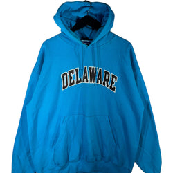 Collection of Champion Delaware Spellout Hoodie in a gallery layout