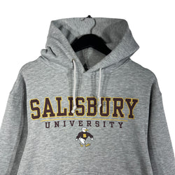 Collection of Jansport University Of Salisbury Hoodie in a gallery layout