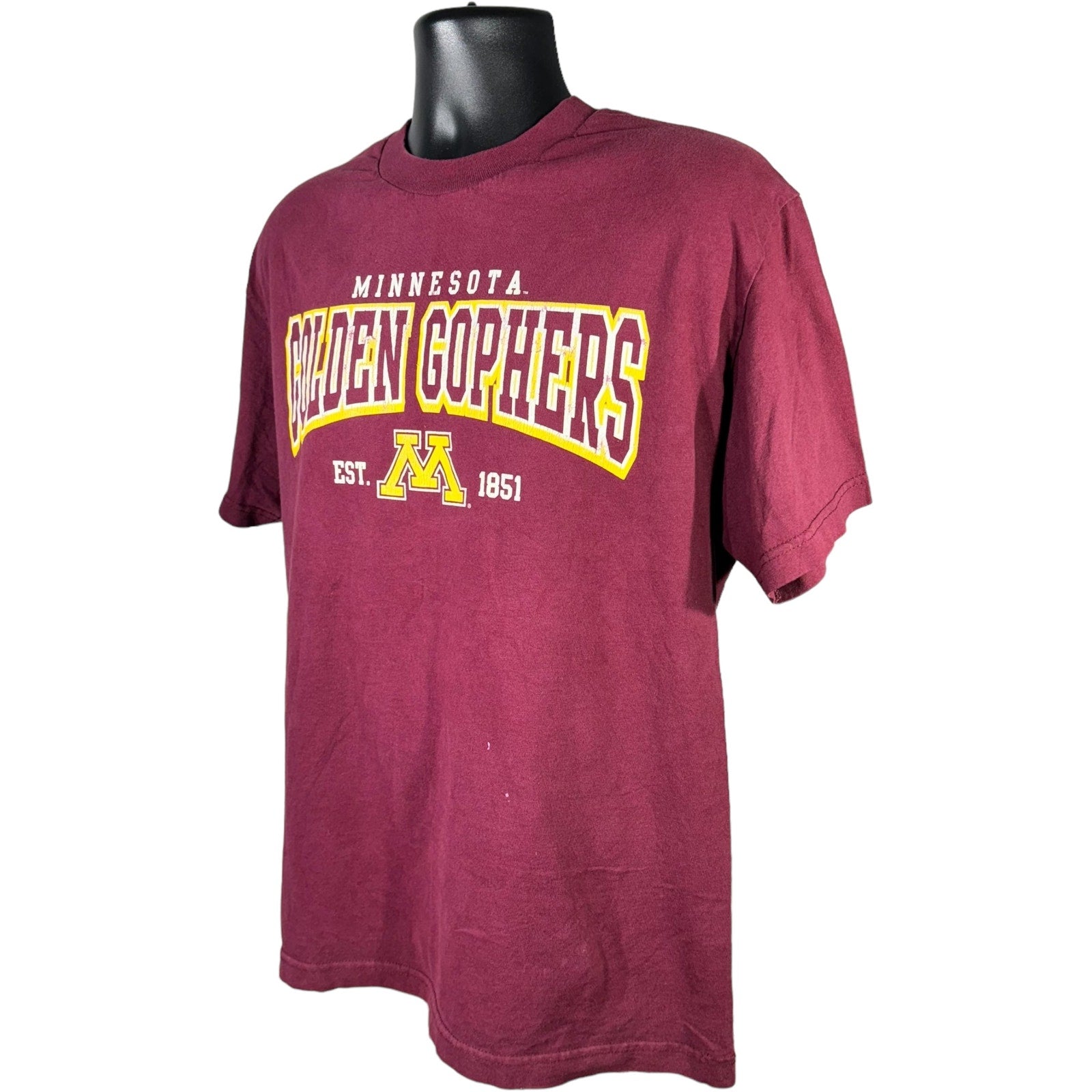 Collection of Minnesota State Golden Gophers Spellout Tee in a gallery layout