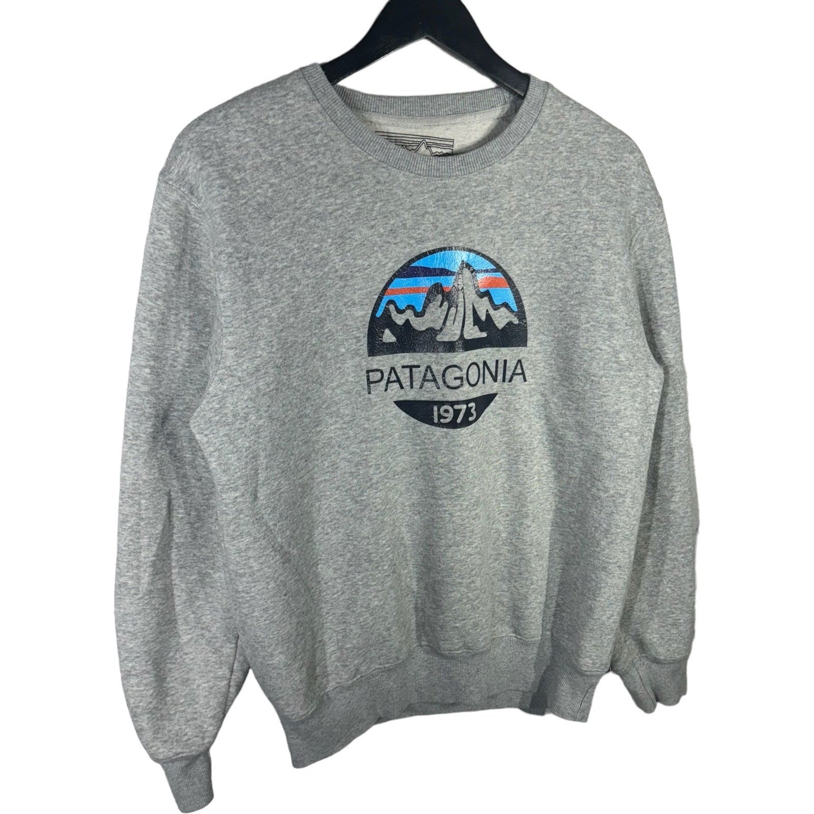 Collection of Patagonia Mountain Logo Crewneck in a gallery layout