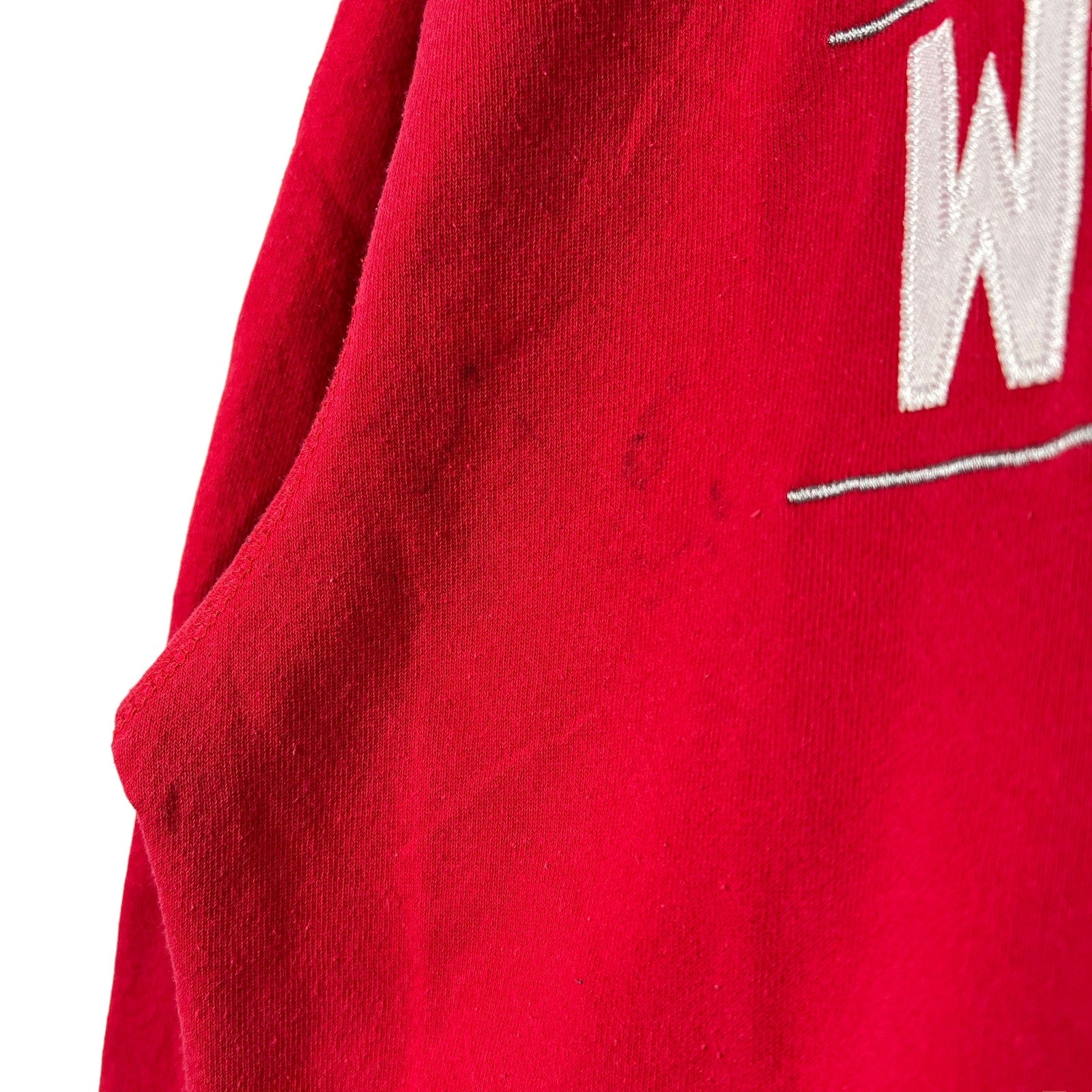 Collection of Champion Wisconsin Badger Embroidered College Hoodie in a gallery layout