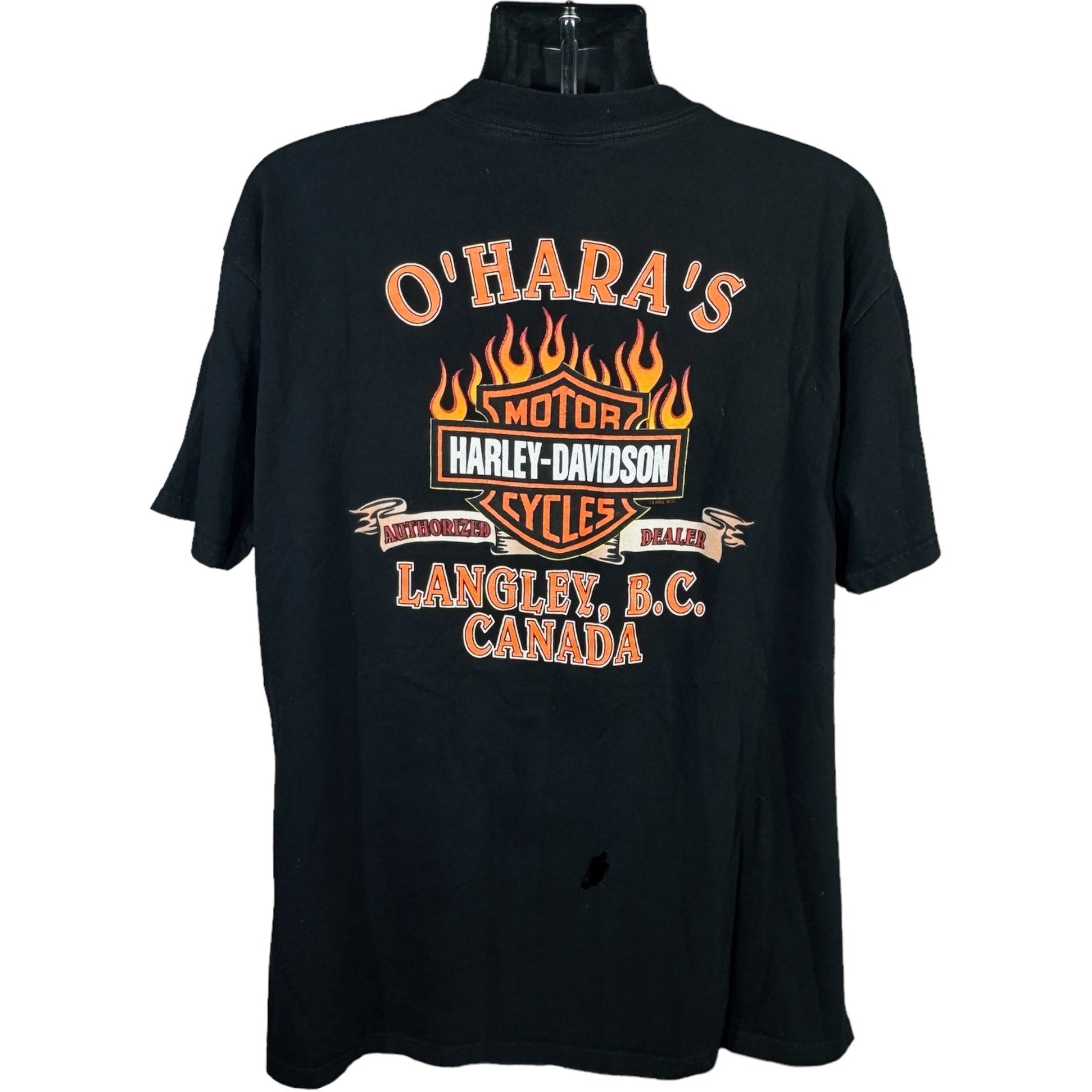 Collection of Vintage Harley Davidson Canada British Columbia Tee 1998 in a gallery layout