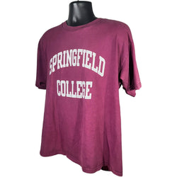 Collection of Champion Springfield College Tee in a gallery layout